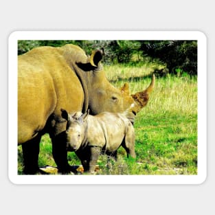 African Wildlife Photography Rhinoceros Mother and Calf Sticker